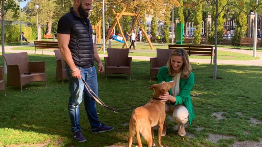 Paloma Martín con uno de los perros del Salón de la Adopción para Animales de Compañía organizado por la Comunidad de Madrid