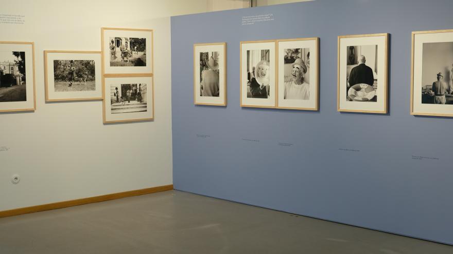 La Comunidad presenta la faceta familiar y creativa de Picasso con una exposición de 60 fotografías