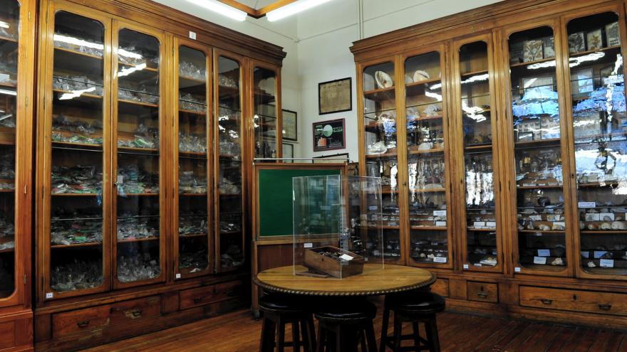 The Cabinet of Natural History second room