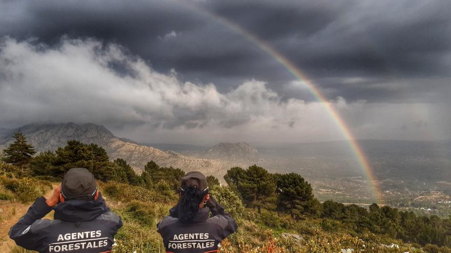 Agentes forestales con arco iris