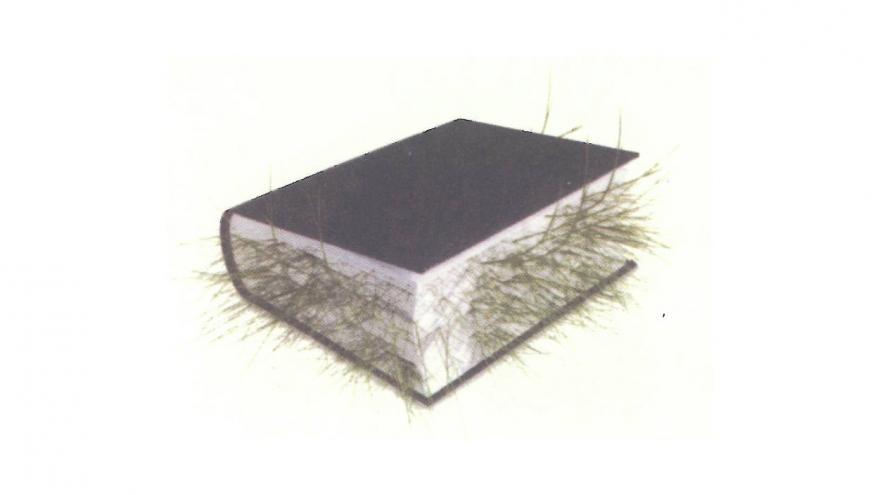 Libro con hierba entre sus páginas