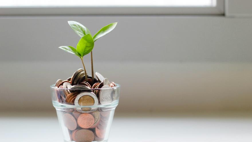 Imagen vaso con monedas y planta