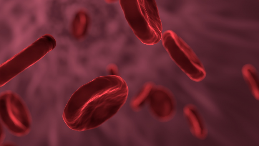 Imagen de células en el torrente sanguíneo
