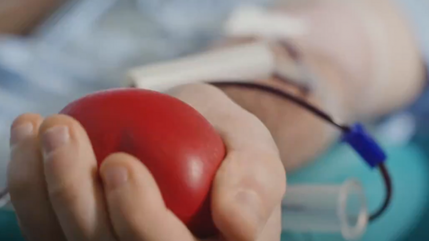 brazo de donante con pelota de goma roja en la mano