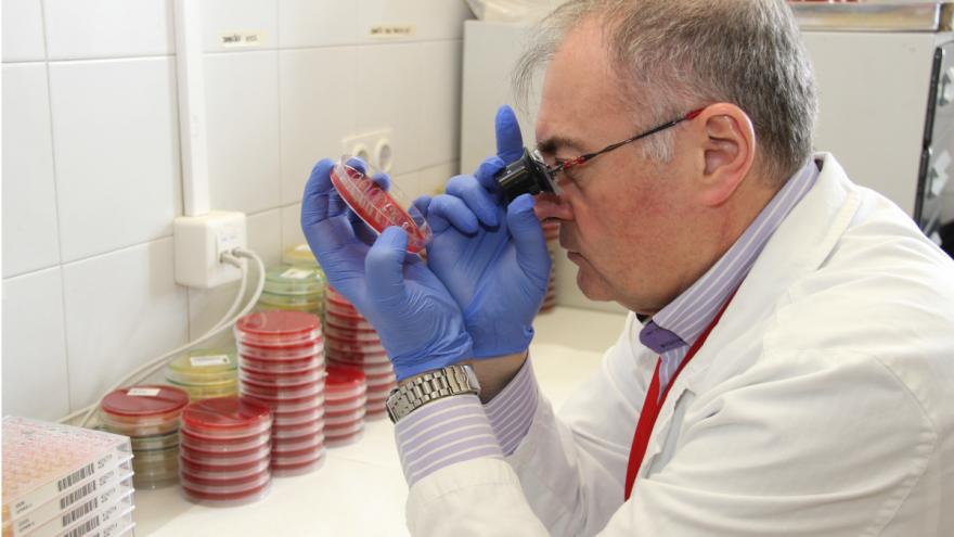 El doctor Candel trabajando en su laboratorio