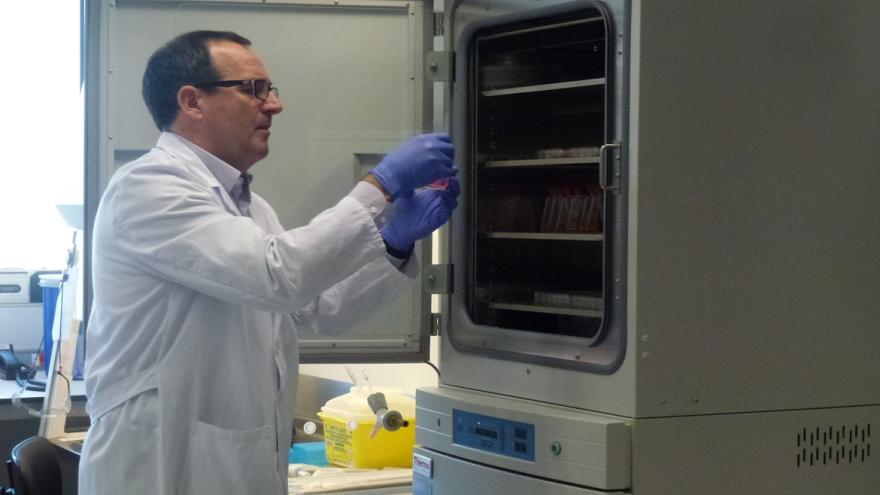 El doctor Rafael Delgado, del Hospital 12 de Octubre, observa una muestra en el Laboratorio