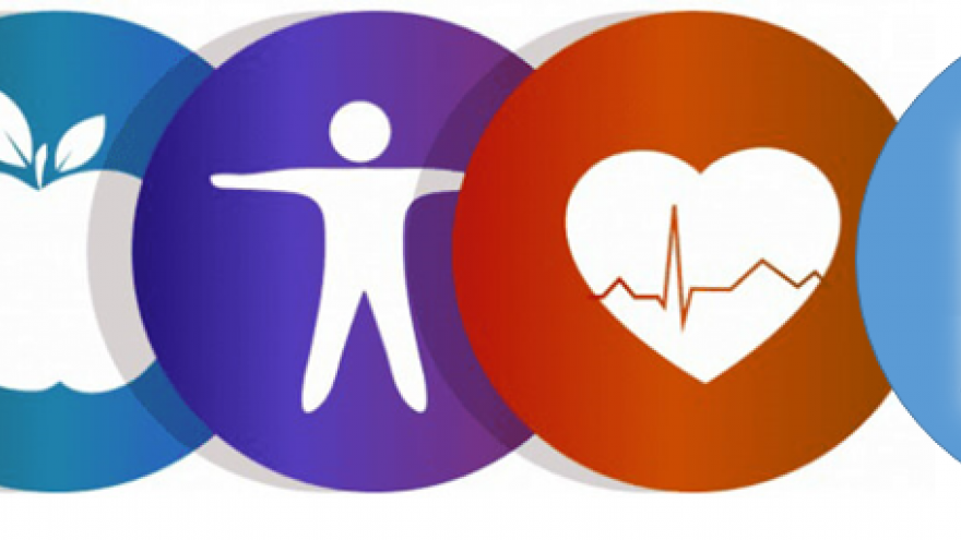 Círculos en línea sobrepuestos con colores diferentes y dentro iconos de salud laboral