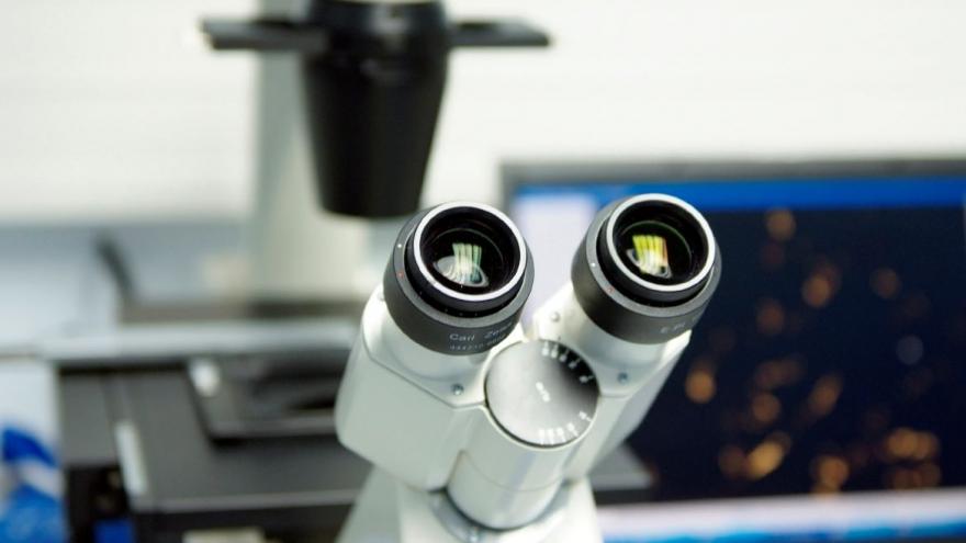 microscopio investigación