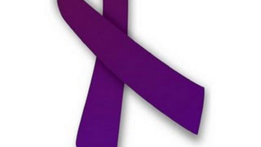 Actividades de profesionales de la Consejería de Sanidad con motivo del día contra la violencia de género Día Internacional de la Eliminación de la Violencia contra la Mujer 2019