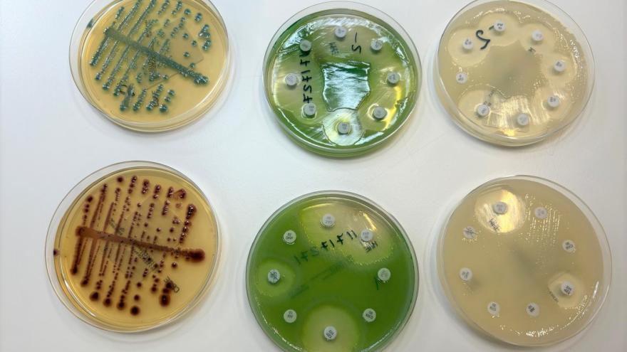 muestras de laboratorio