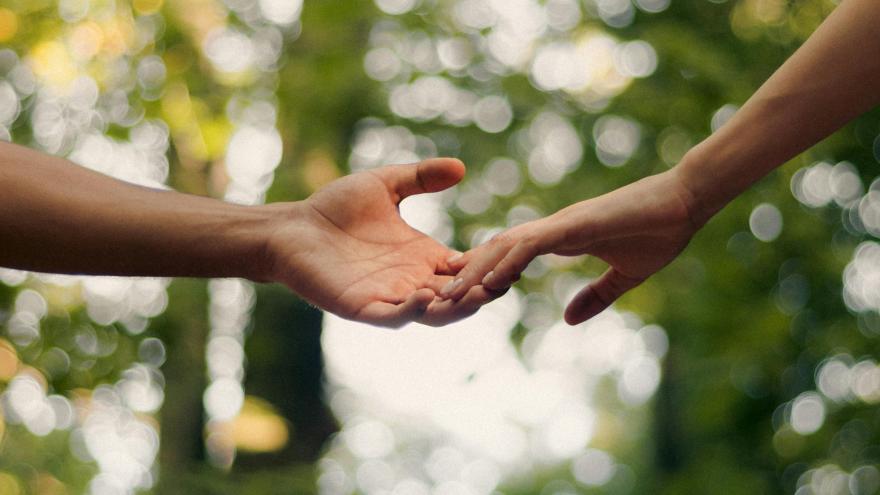 Dos personas se dan la mano en la naturaleza