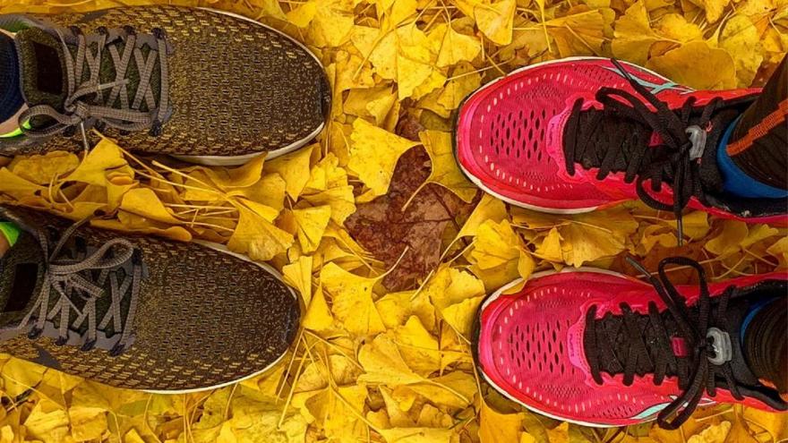 zapatillas de deporte sobre hojas