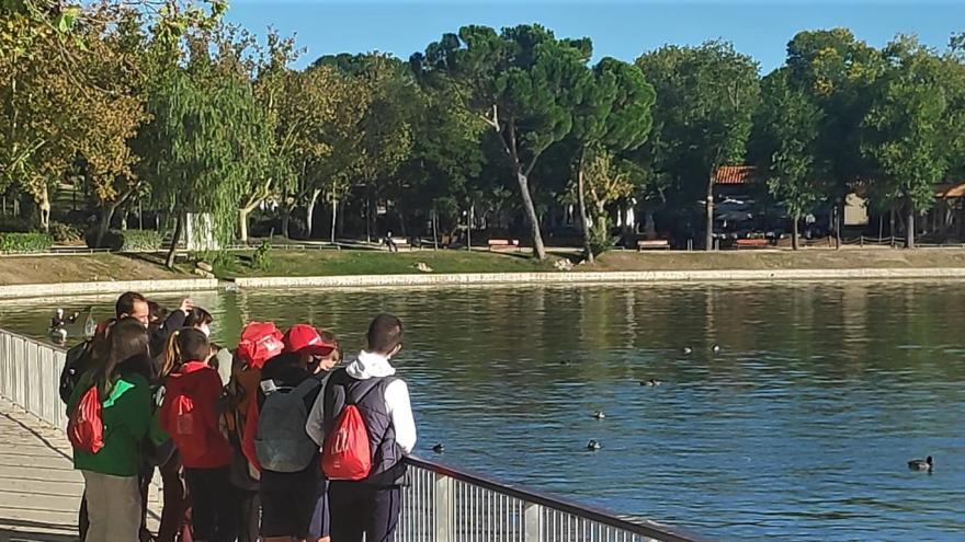 Jóvenes apoyados en la barandilla del lago de la Casa de Campo