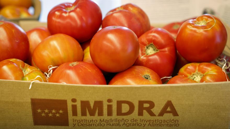 bandeja de tomates del IMIDRA