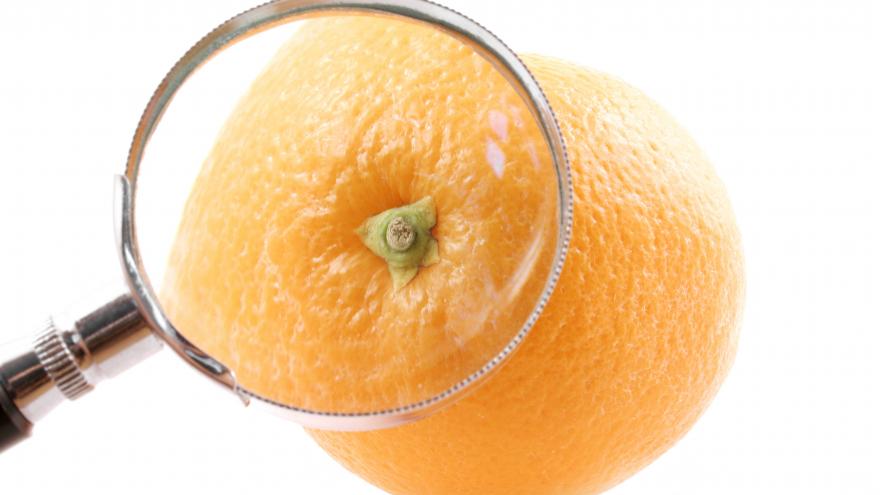 Lupa sobre una naranja