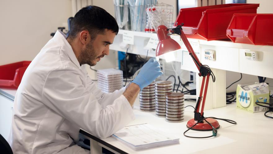 Profesional sanitario en el Hospital público Enfermera Isabel Zendal 