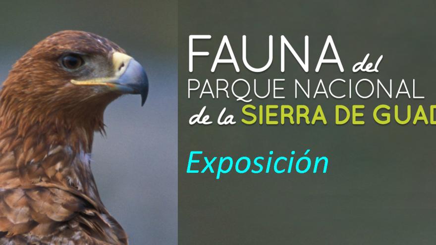 Exposición fauna del Parque Nacional
