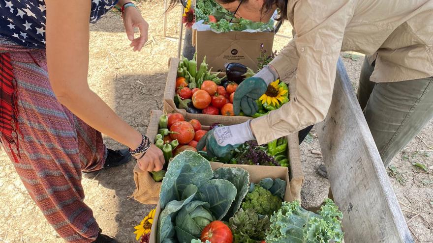 Agroliving Lab del IMIDRA