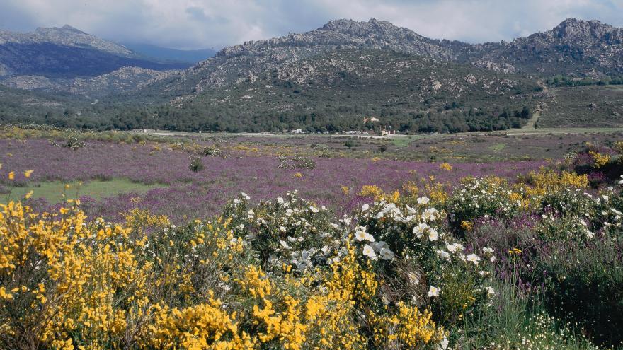 Parque Regional de la cuenca alta del Manzanares