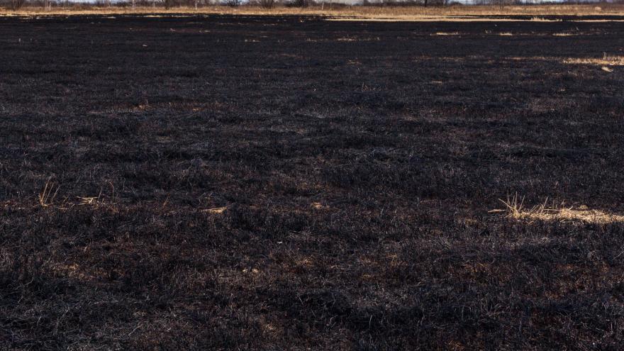 terreno abrasado por las llamas de un incendio ya extinguido