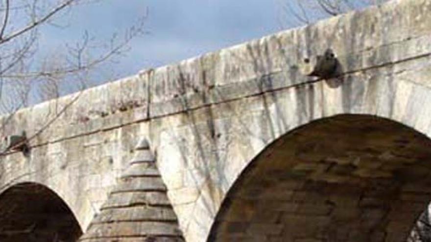Detalle del Puente del Retamar 