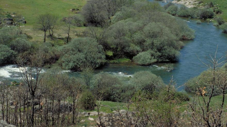 Valle del Lozoya río