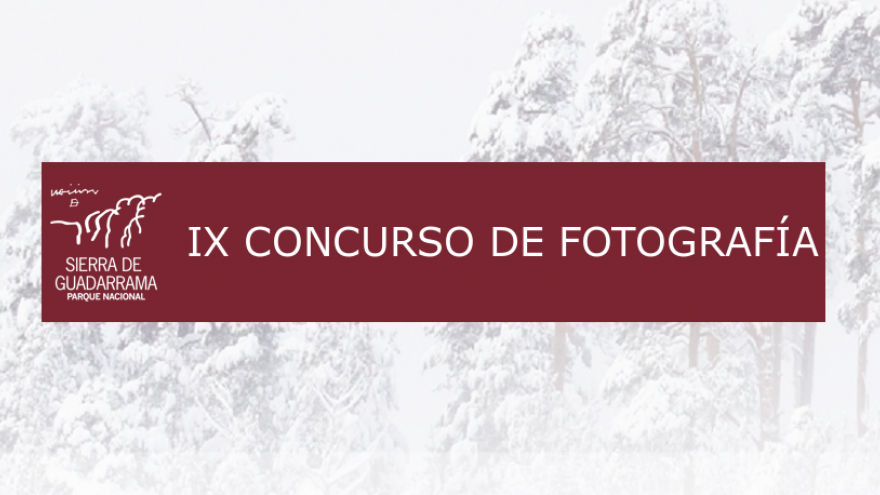 Foto cartel concurso