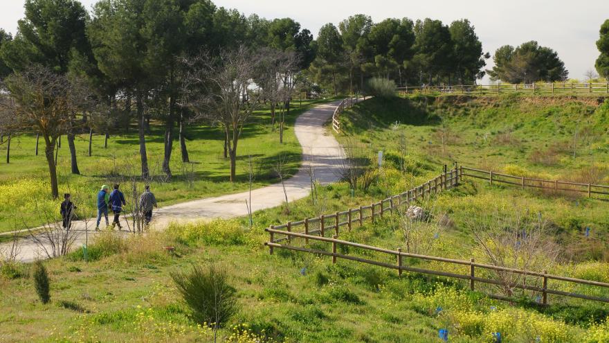 Sendero en Parque Forestal La Cantueña