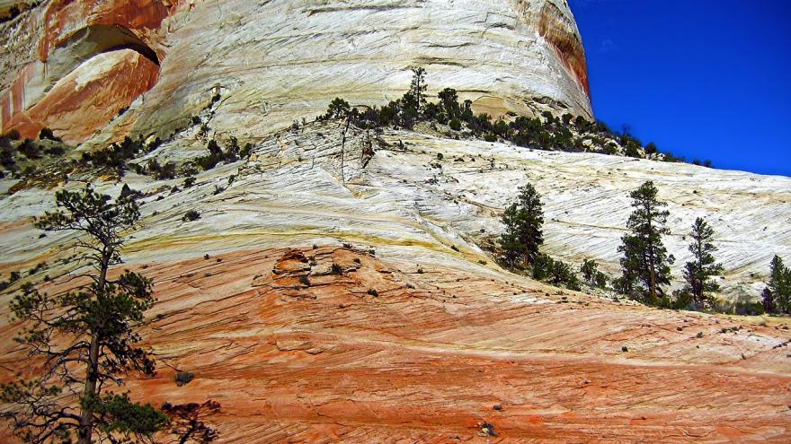 Foto parque nacional Zion