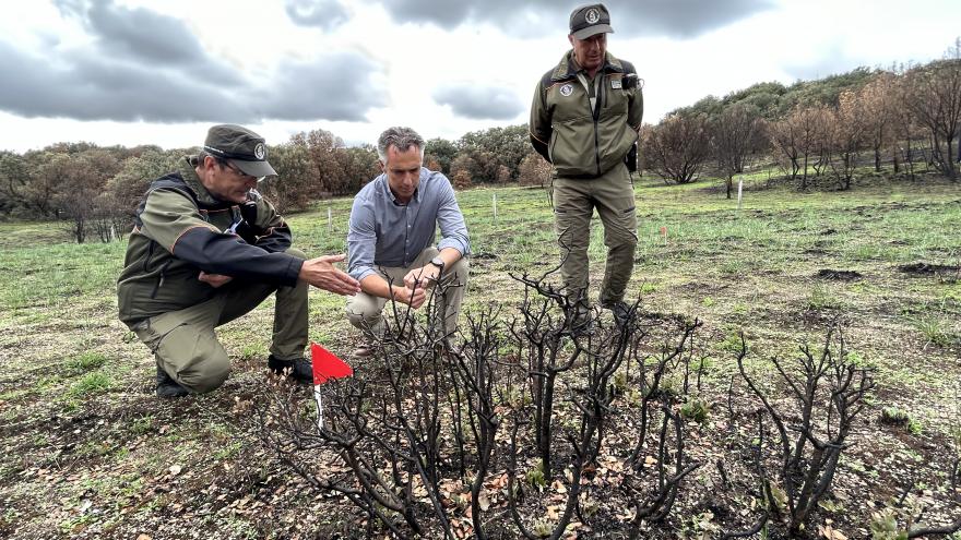 El consejero junto a los equipos de emergencias recorriendo la zona