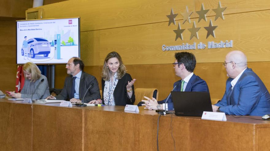 Paloma Martín durante la reunión con los expertos de la Mesa para el Fomento de la Movilidad Eléctrica