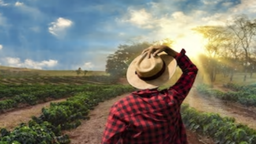 Agricultor de espaldas con sombrero de paja mira campo con árboles