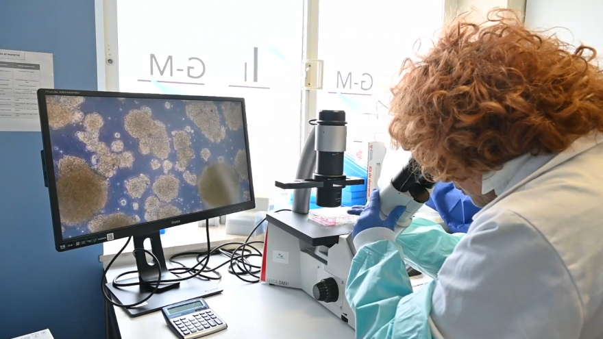 novedosa técnica para ver el interior de tejidos y órganos en tres dimensiones