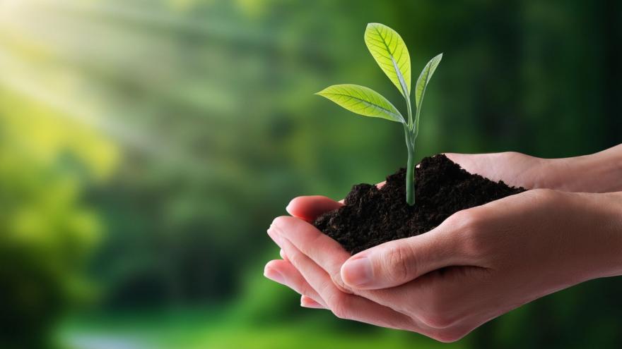 Ecología, protección del medio ambiente natural, concepto del Día de la Tierra.
