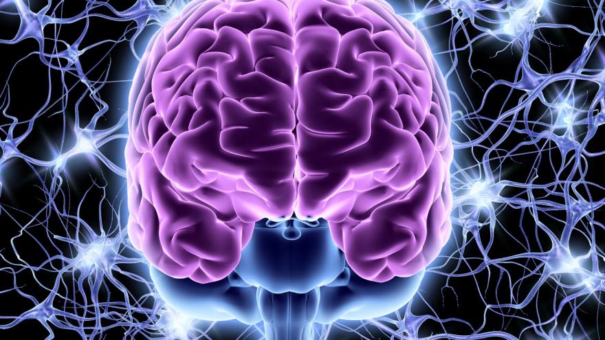Cerebro en tres dimensiones con color morado y azul