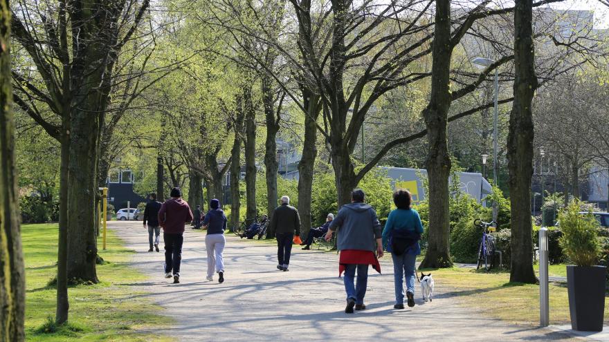 Parque con personas caminando