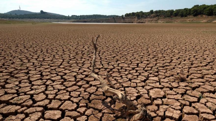 Desertificacion Medio ambiente