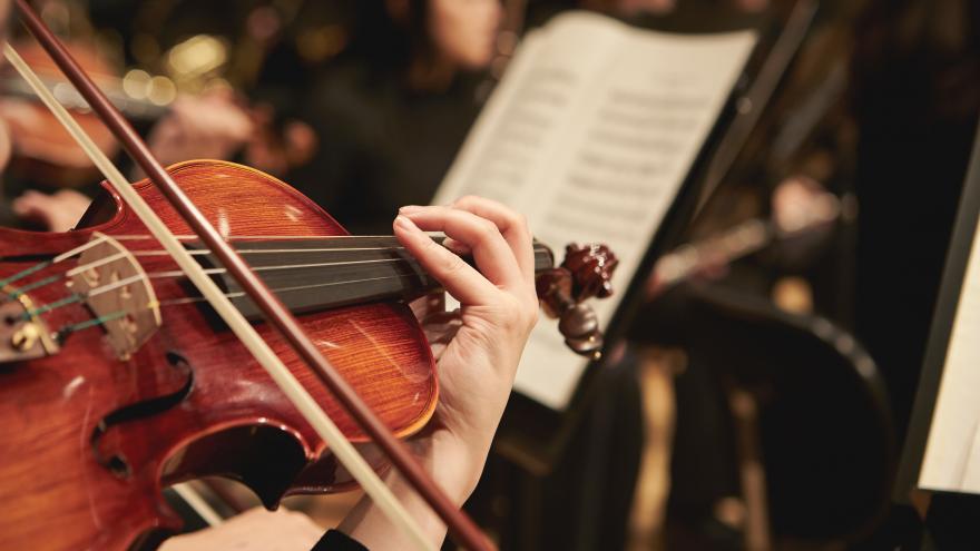 Una viola en un concierto