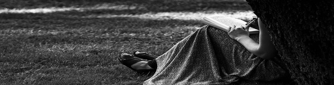 Taller como empezar tu novela