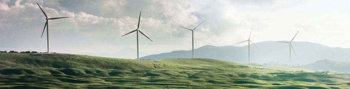 Paisaje con molinos de energia eolica