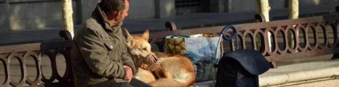 Hombre_con_perros
