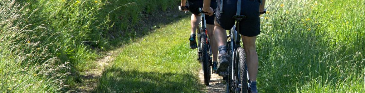 Ciclismo en la naturaleza