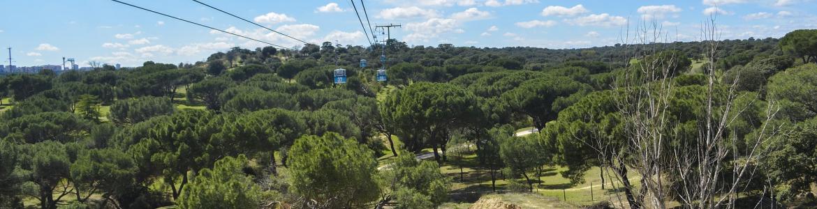 Teleférico