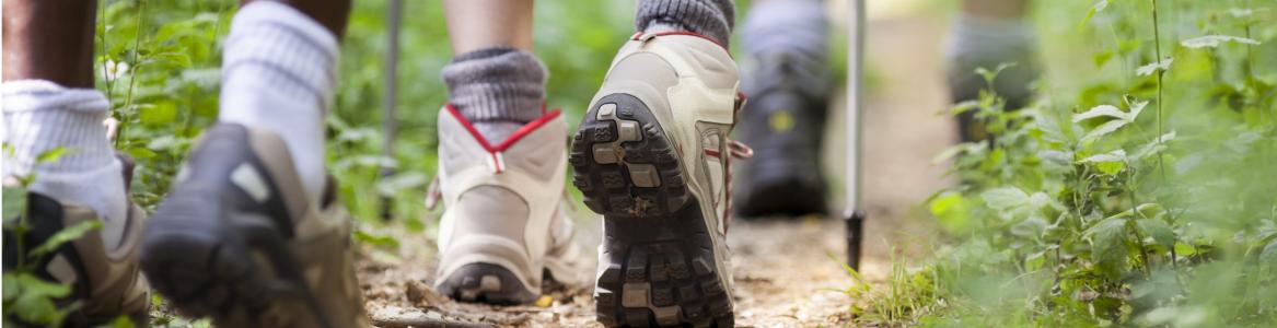 Primer plano de botas caminando por un sendero