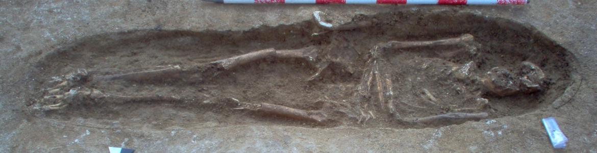 Imagen de restos encontrados en el Monte de la Villa
