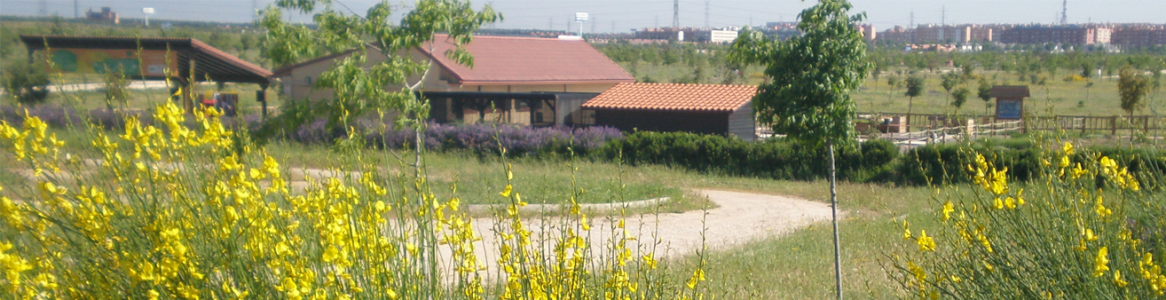 Vista del Centro de educación ambiental Bosque Sur