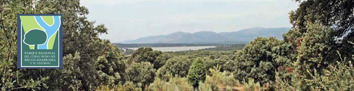 Vista de la senda de Colmenarejo a Valdemorillo