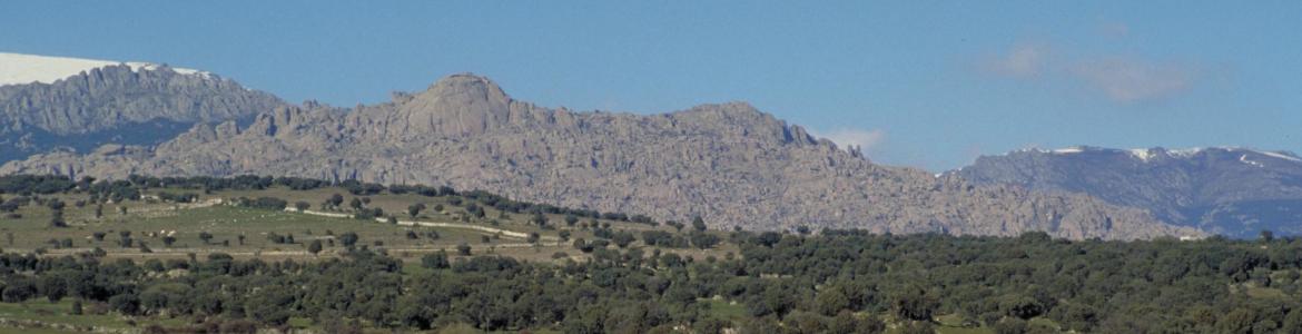 Dehesa y cumbres de La Pedriza al fondo