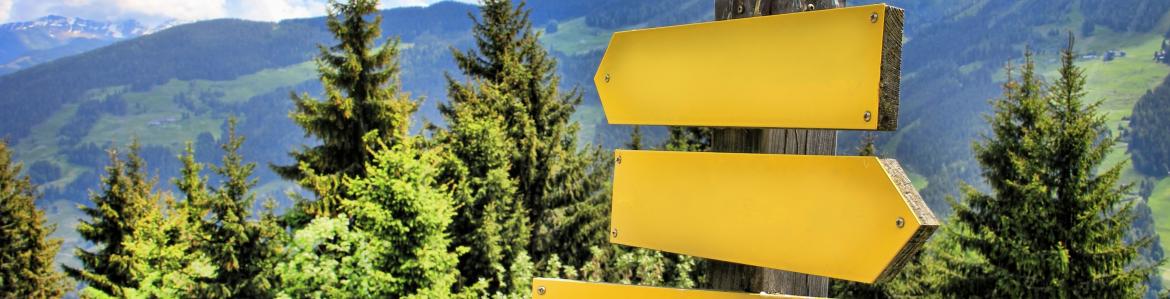 Paisaje con montañas, árboles y dos flechas amarillas que indican dos direcciónes