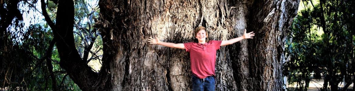 Chico apoyado en un árbol con los brazos abiertos